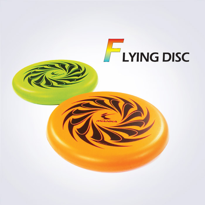 플레이 플라잉 디스크