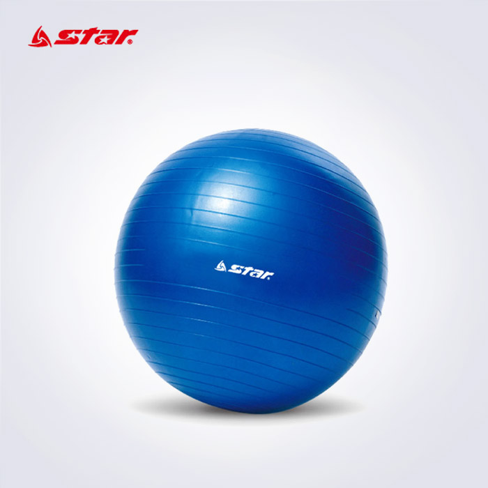  STAR 미니 짐볼 45cm (발펌프포함)