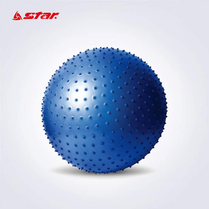  STAR 마사지 짐볼 65cm (발펌프포함)