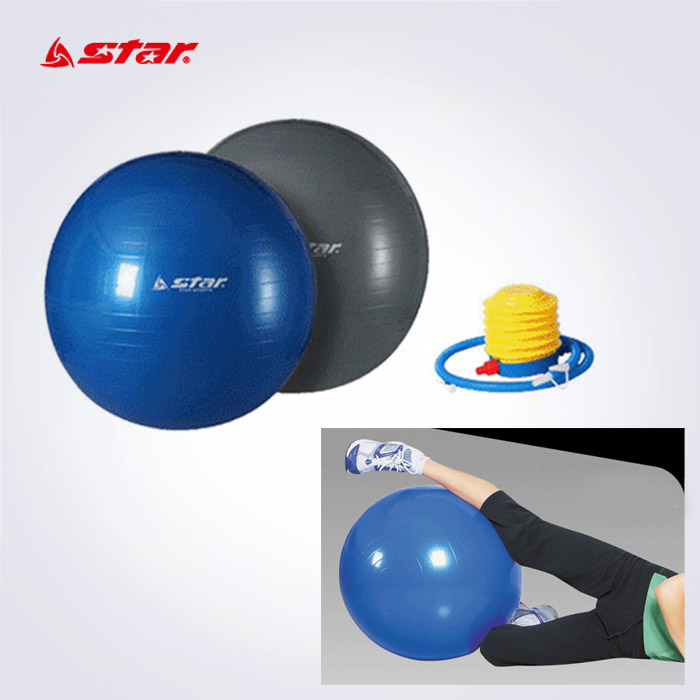 STAR 안티버스트 짐볼 65cm (발펌프포함)