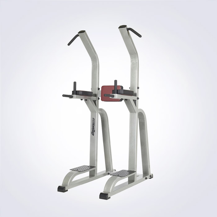 STEELREX 클럽 치닝디핑 SRF-317