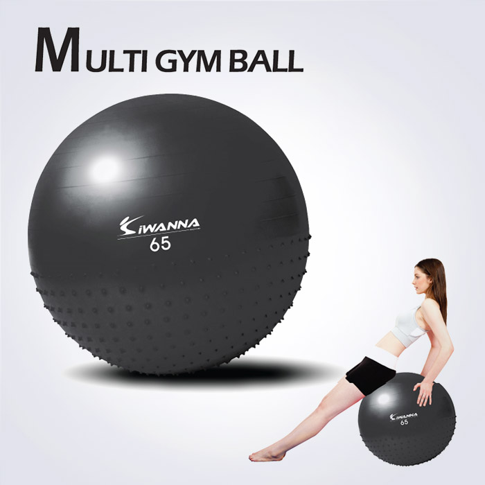프리미엄 멀티형 짐볼 65 (펌프포함)
