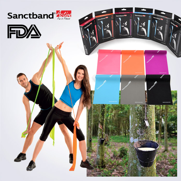 스포리지 USA FDA승인 SanctBand 2M BOX형 Lv5.플럼 4.3~7.8Kg